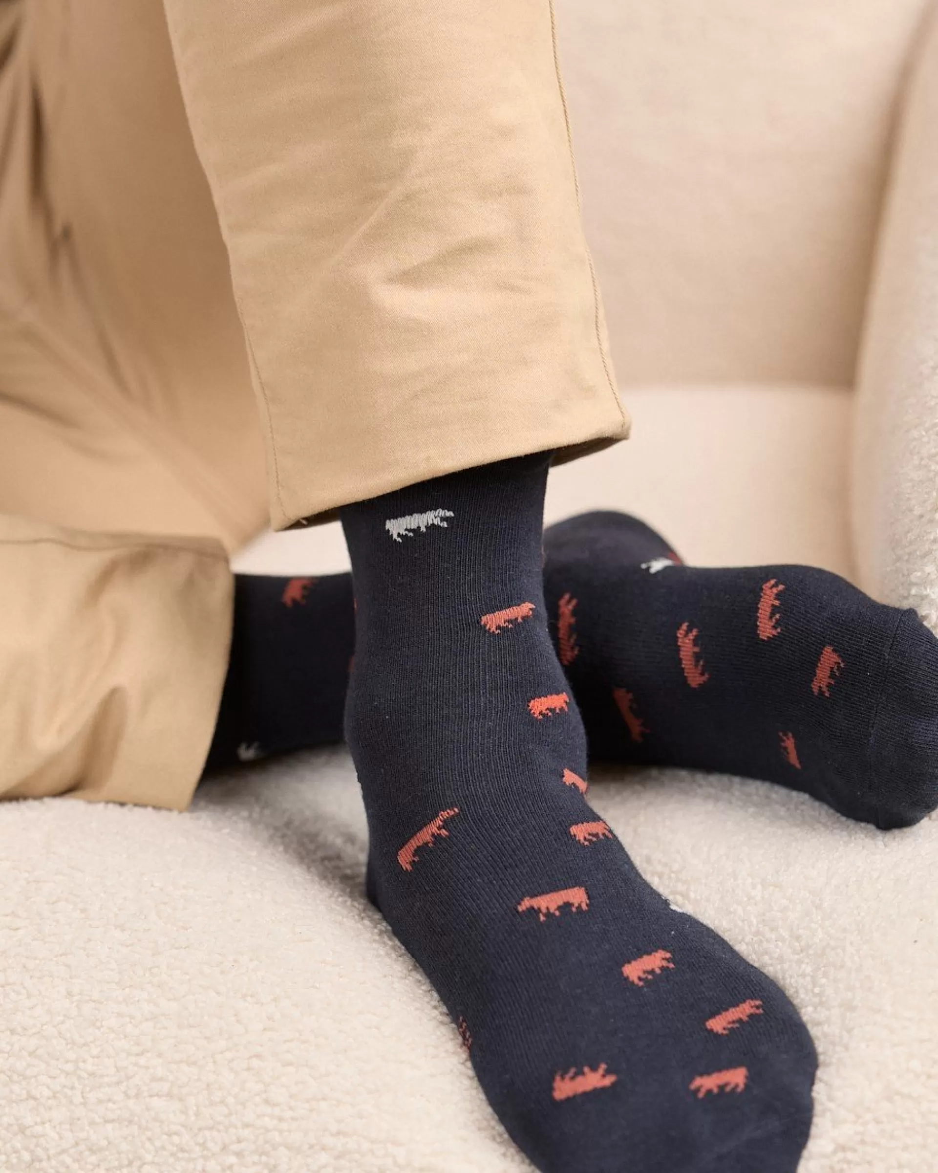 Fashion Chaussettes Bollie Homme Chaussettes