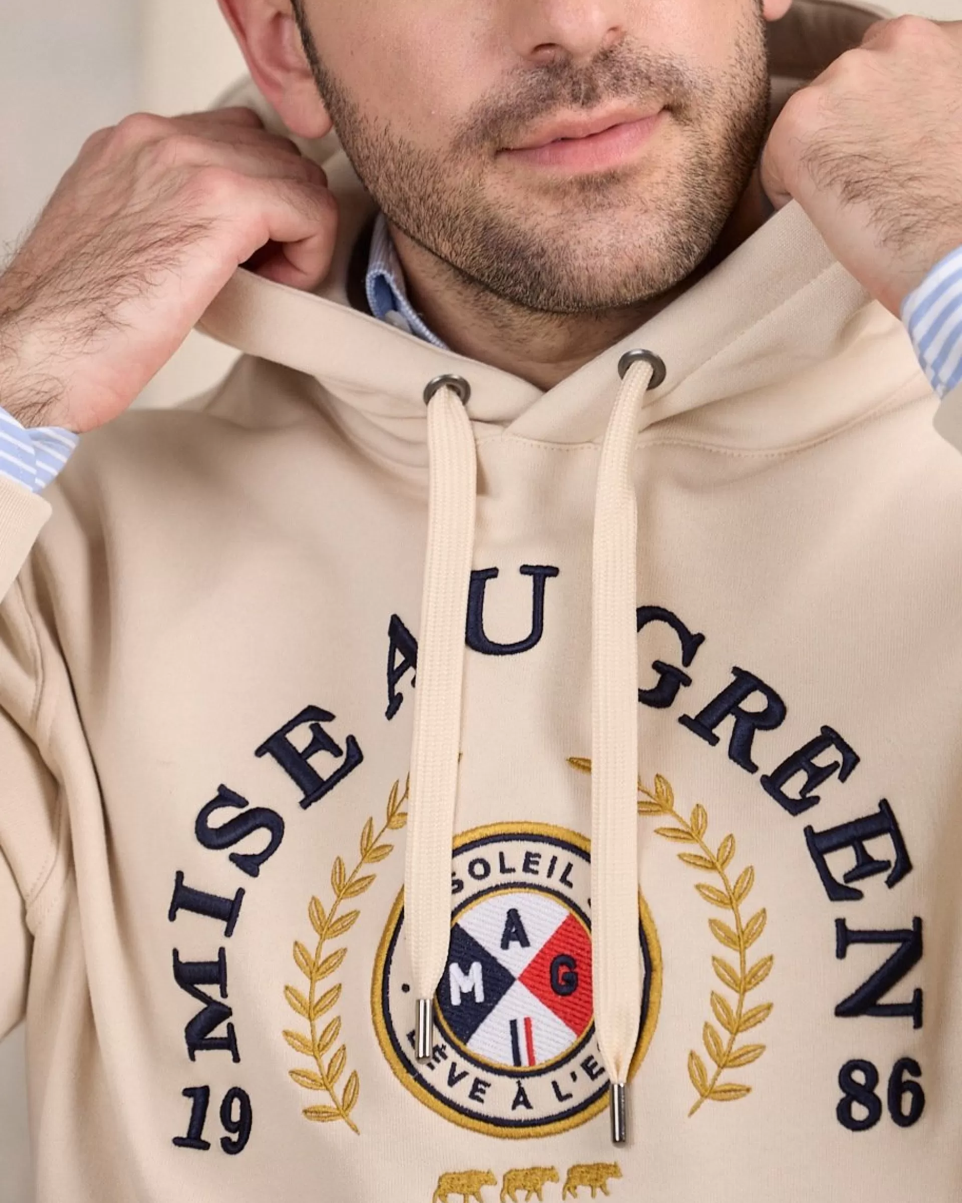 Shop Hoodie blason Homme Sweat